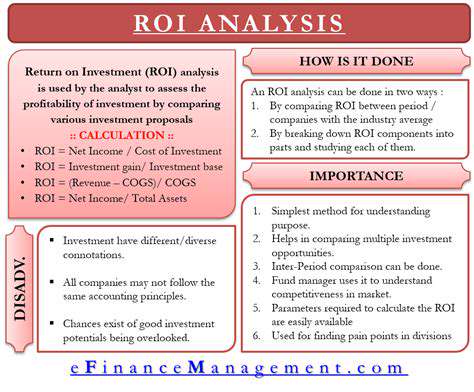 The Financial Landscape of Renewable Energy Projects
