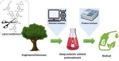 Bio-InspiredApproachesforEnhancedBiofuelProduction