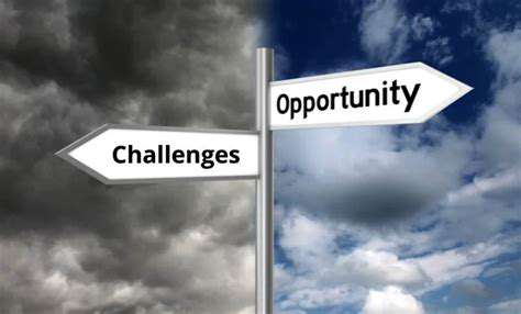 ChallengesandOpportunitiesintheTransition