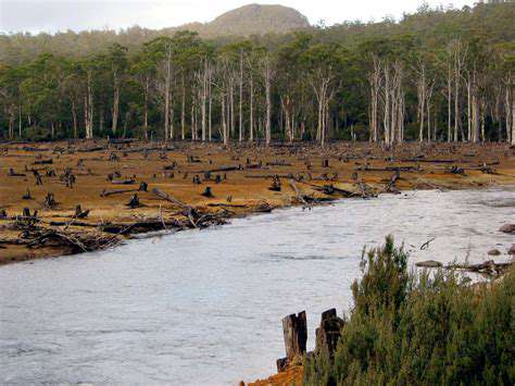 HabitatAlterationandBiodiversityImpacts