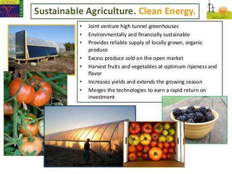 Corporate Renewable Procurement for Manufacturing