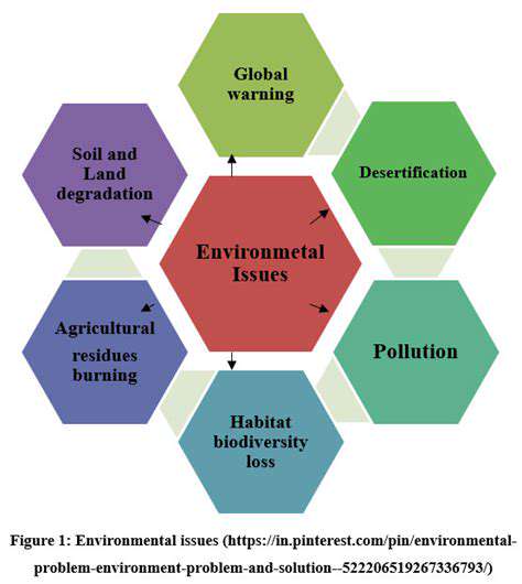 Land Use Conflicts in Renewable Energy Development: Solutions and Best Practices