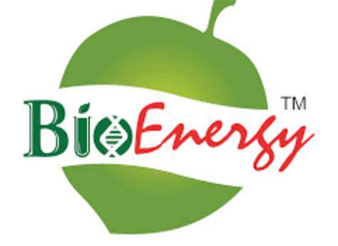 Renewable Energy for Sustainable Agriculture