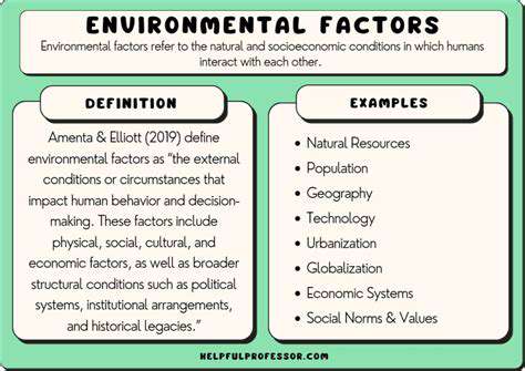 The Evolution of Renewable Energy Reporting Frameworks