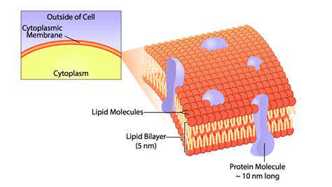 Advancements in Solar Desalination Technology: Water Energy Nexus